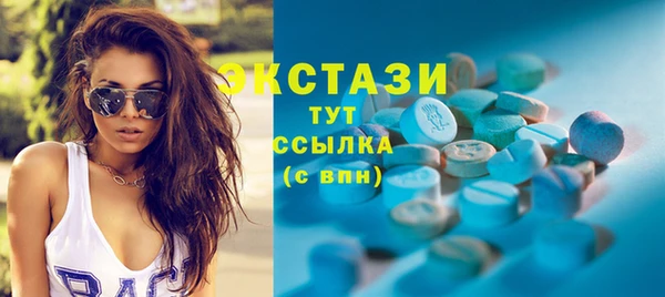 индика Кулебаки