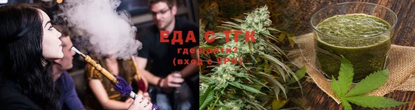 индика Кулебаки