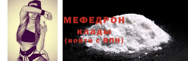 индика Кулебаки