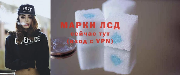 индика Кулебаки