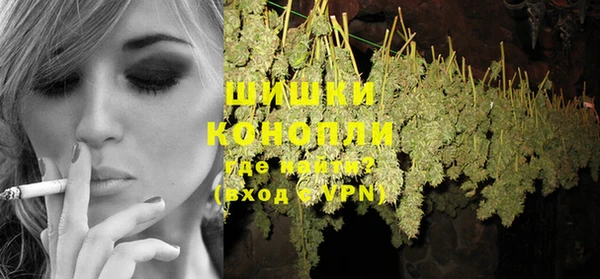индика Кулебаки