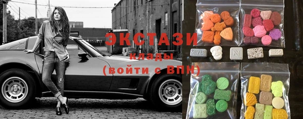 индика Кулебаки