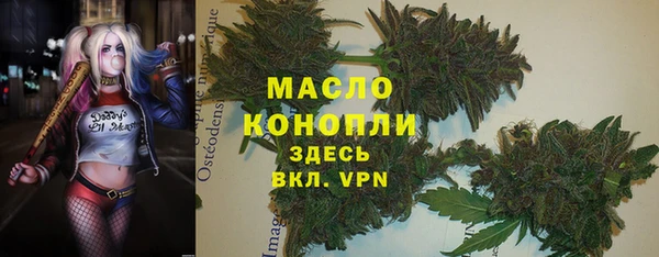 дурь Краснослободск