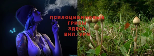первитин Кукмор