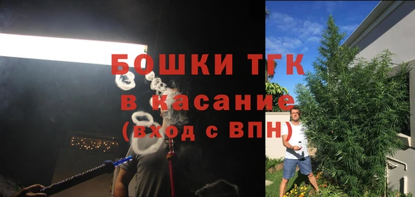 индика Кулебаки