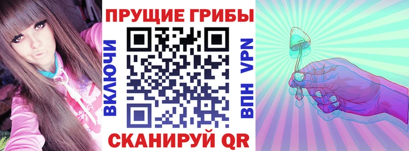 KRAKEN зеркало  Щёлкино  Галлюциногенные грибы Psilocybine cubensis 